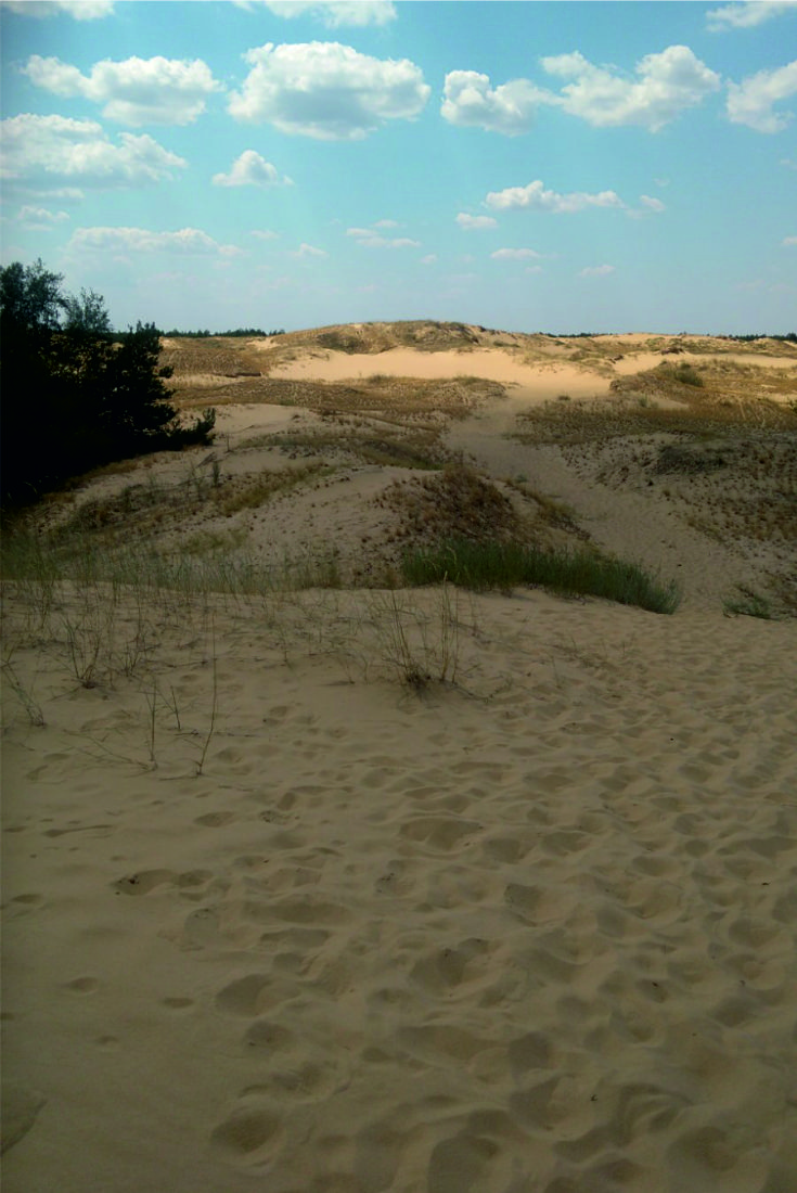 Олешковские пески - одна из крупнейших пустынь в Европе / Блог минималиста MinimalizmLife.home.blog